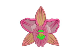 Orchid Embroidery Design Review