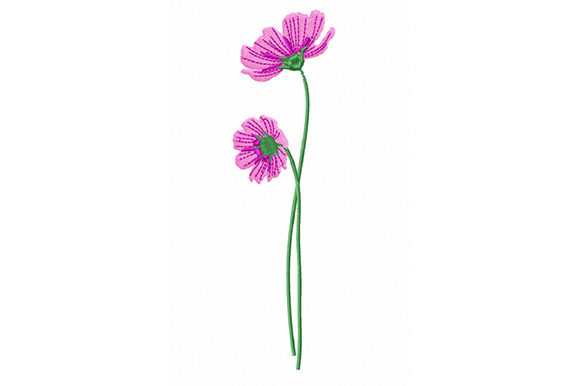 Pink Cosmos Flowers Embroidery Design